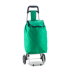 Carro para Mercado con Bolsa de Poliéster y Ruedas Resistentes - Soporta 25kg y Con soporte Vertical - Imagen 4
